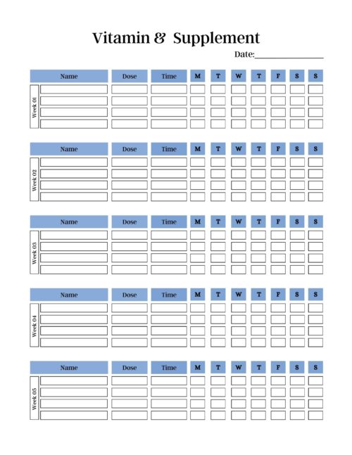 PLR Fitness Planner 2.0 (20 Pages)